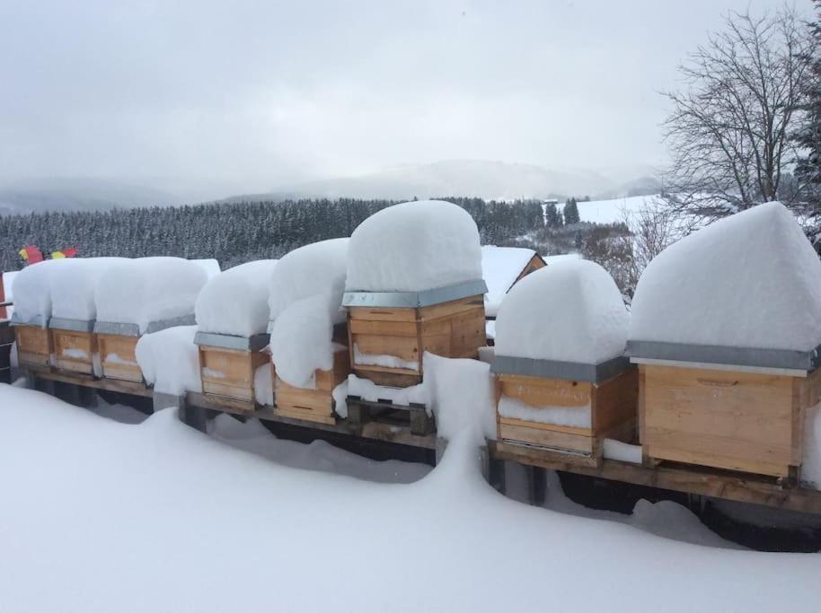 Ferienwohnung Zur Alten Schmiede Lenzkirch Extérieur photo