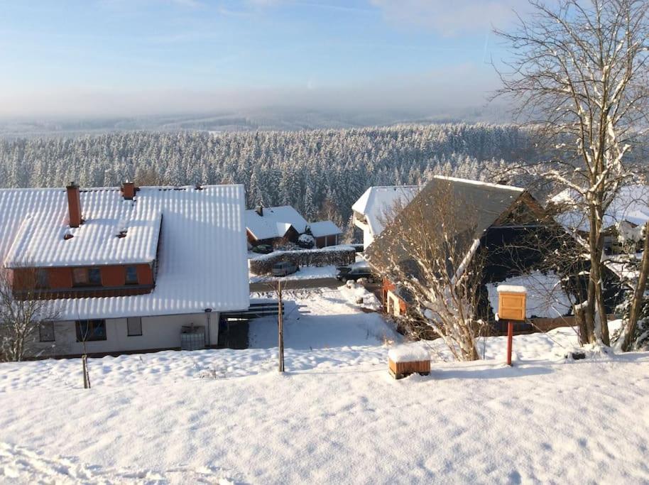 Ferienwohnung Zur Alten Schmiede Lenzkirch Extérieur photo