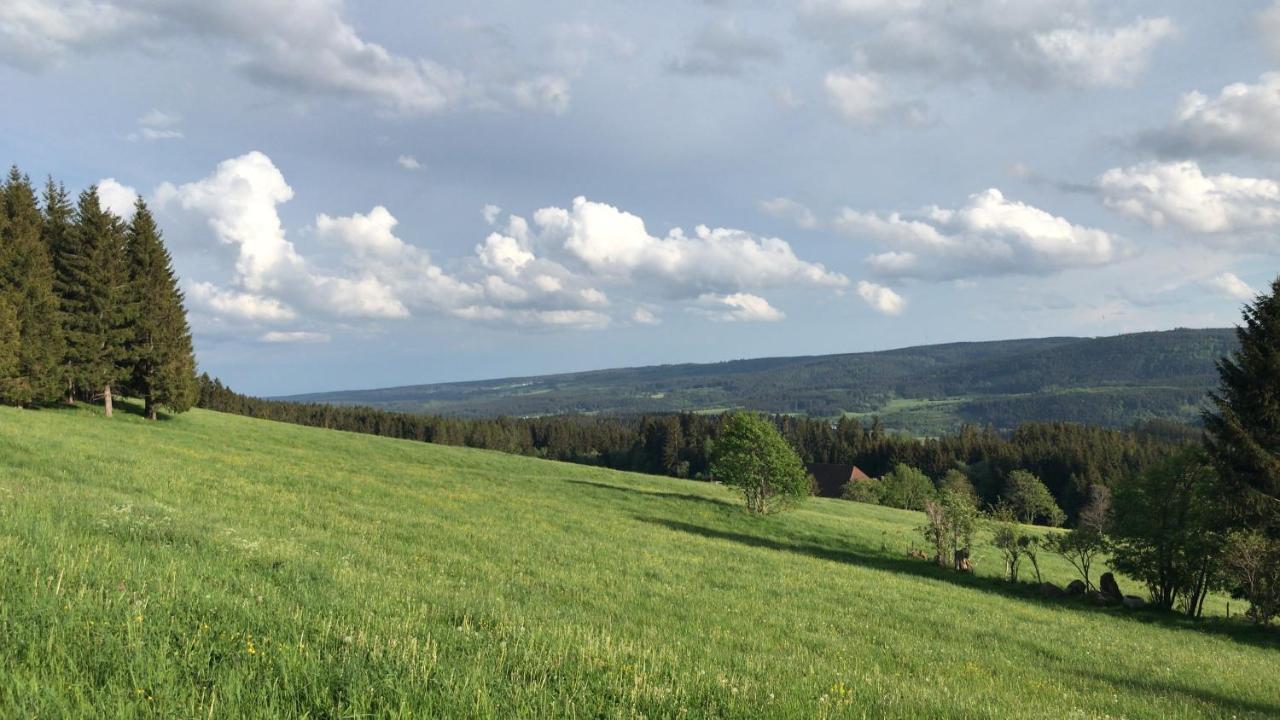 Ferienwohnung Zur Alten Schmiede Lenzkirch Extérieur photo