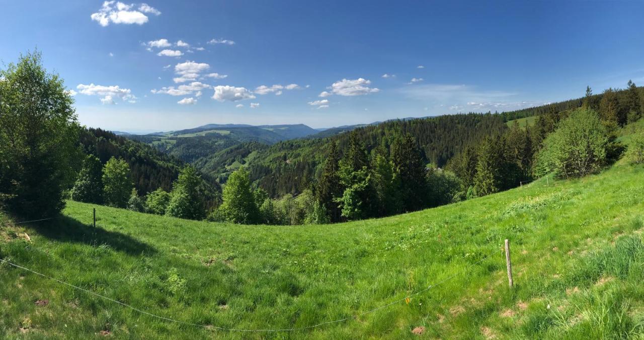 Ferienwohnung Zur Alten Schmiede Lenzkirch Extérieur photo
